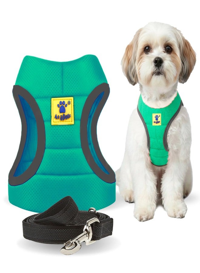 A+a Pets' Feather Weight Cat and Dog Harness & Leash Set - Escape Proof, Adjustable, No Pull, Soft Padded Vest for Persian Cats, Kittens, Small Dogs (Green, XL) - Image 1